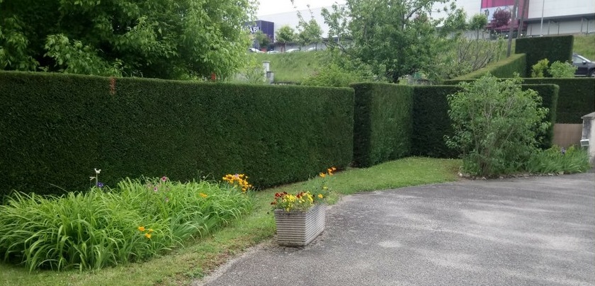 Création de terrasses en bois à Donzenac